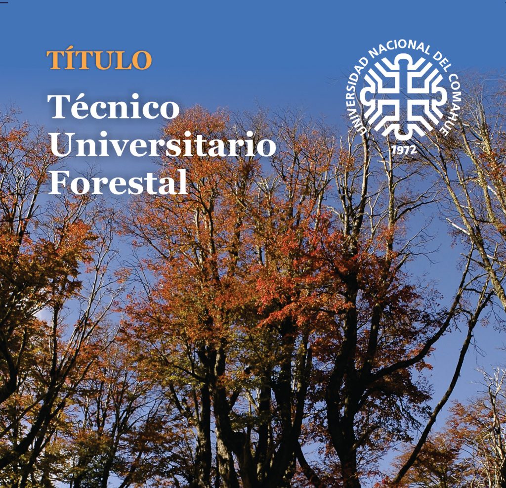 TUF_imagen_destacada