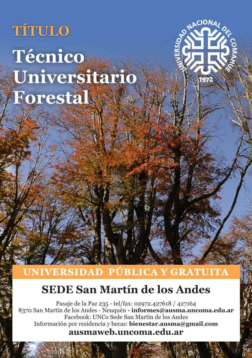 AUSMA flyer carreras-1