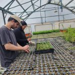 Tecnicatura Universitaria Forestal