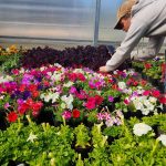 WhatsApp Image 2025-10-31 at 12.07.50 (2)