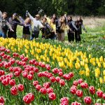 WhatsApp Image 2025-10-31 at 12.07.51